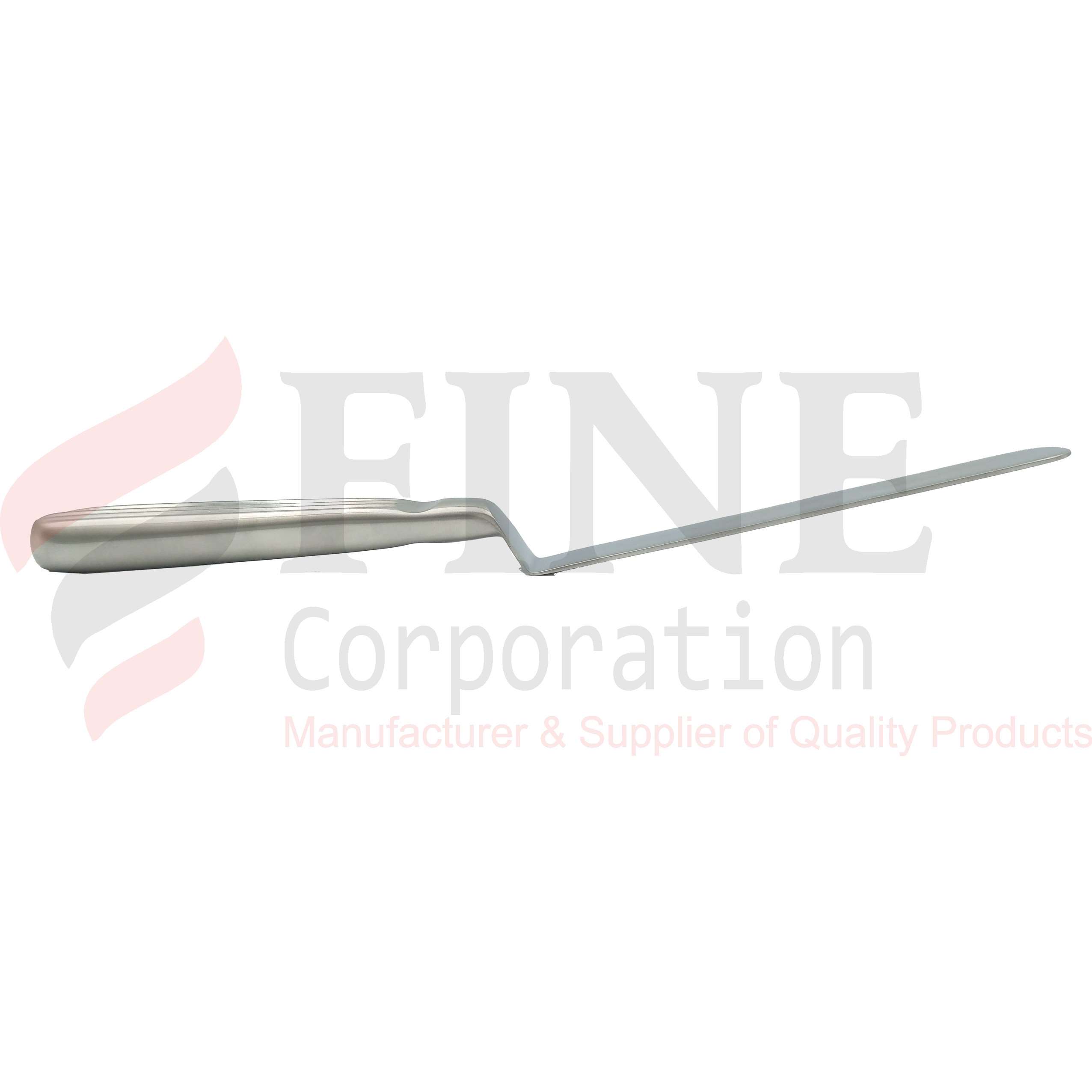 Stainless Steel Spatula